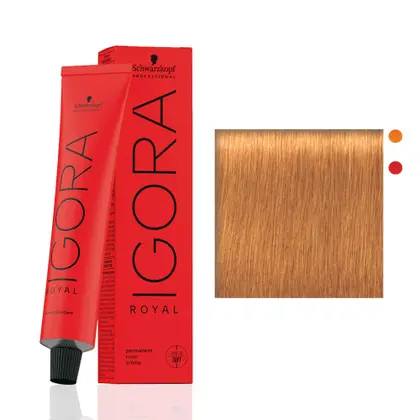 TINTA IGORA ROYAL 9-7 60G