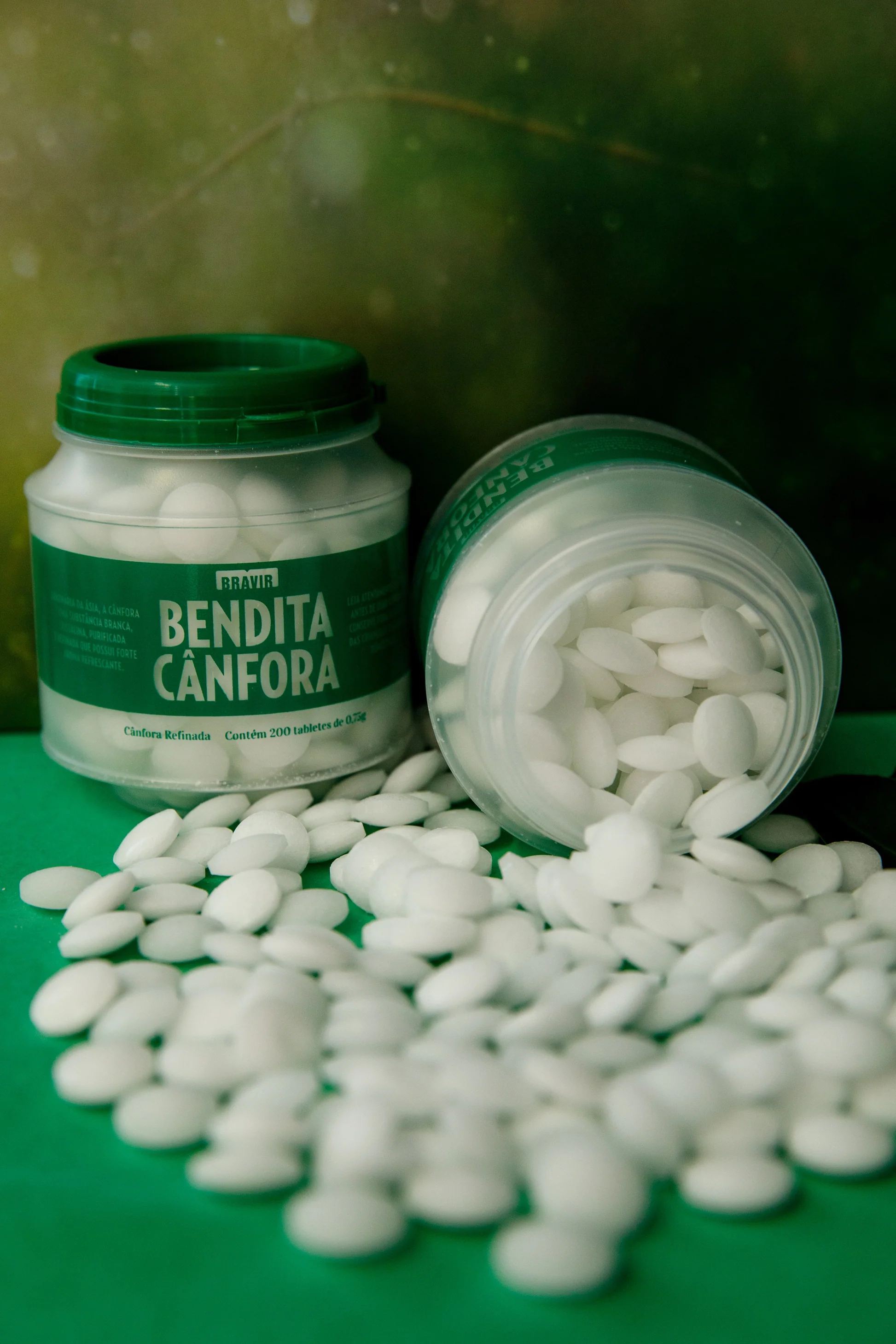 CANFORA REFINADA